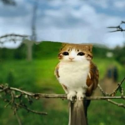 Fabriiiii2324's profile picture. (⛓)-𝕴 𝖈𝖆𝖓'𝖙 𝖆𝖈𝖙 𝖑𝖎𝖐𝖊 𝖆 #𝖈𝖍𝖎𝖑𝖉 𝖆𝖓𝖉 𝖉𝖎𝖘𝖔𝖇𝖊𝖞
𝕬𝖑𝖑 𝖙𝖍𝖆𝖙 𝖞𝖔𝖚 𝖜𝖆𝖓𝖙 𝖋𝖗𝖔𝖒 #𝖒𝖊 𝖆𝖓𝖉 𝖙𝖍𝖆𝖙 𝖞𝖔𝖚 𝖘𝖆𝖞
𝕴'𝖒 𝖘𝖔