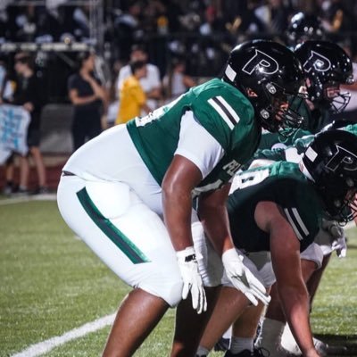 Student athlete|LT/RT|C/O 2028| Pelham high school| 6’4 |270|. # 1+(205)-354-4914