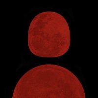 Amjad (@amjad7131) 's Twitter Profile