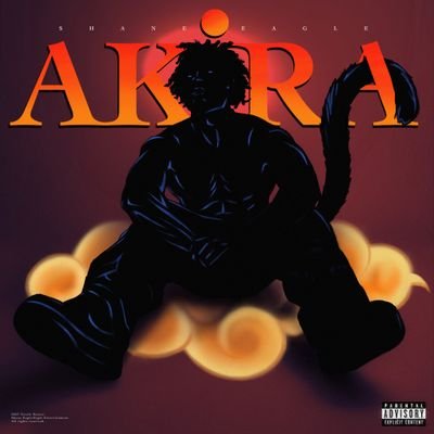 Huge Consumer of all music relating to South Africa or Southern Africa.
My most favourite genres are Hip Hop, RnB, Jazz, but I'm open to House, Amapiano, etc.