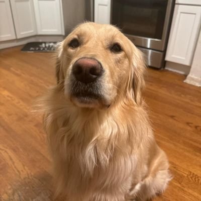 OGRtoken's profile picture. new project 
#OGR Token