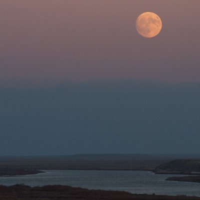 JohnSmi29620199's profile picture. 