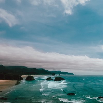 SnowdropRain's profile picture. 