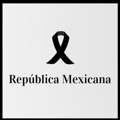 dolphin25288471's profile picture. 