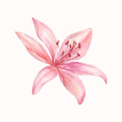 In your view, the entire universe is like a painting, you are a butterfly🐰🩶. ✩ https://t.co/vlSx96VZ9a