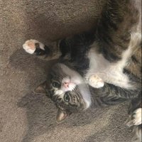 T-rav (@travisb61875605) 's Twitter Profile