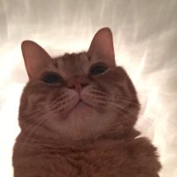 NEAR (@sgge_139) 's Twitter Profile
