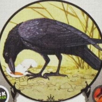 MischievusRaven's profile picture. Ravens like shiny things.