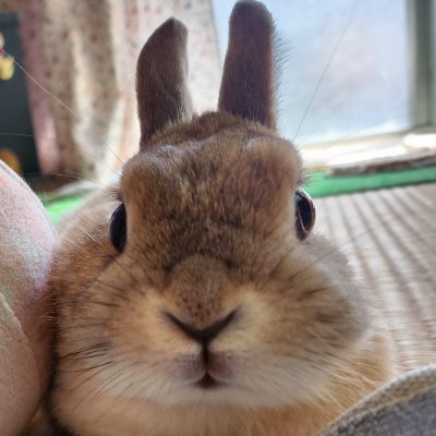 お値下げはコメント下さい❤️ さつきﾁｬﾝ！！！ on X: 