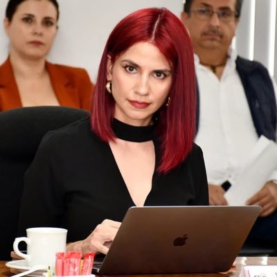 por ahora: reportera en standby, maestranda en gobierno y administración pública, y consejera electoral en @IEEAGS | a título personal 🍉