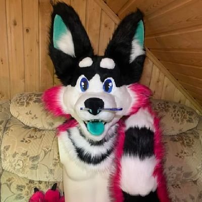 🌈 Fursuit Maker 🌈
🎨 Creative, detailed & made with love☺️
🐾 Heads | Paws | Tails | Full Suits❣️
💜 Bringing joy, comfort & fluff to the furry✨ community🐾
✨