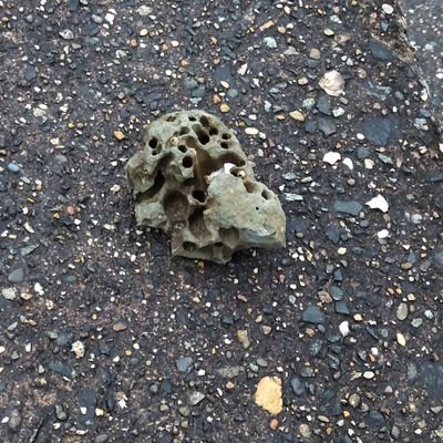 TomoStroll's profile picture. 気分屋の、のんびり屋です。
てくてく散歩でもして過ごしたいと思います。
