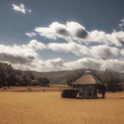 oibayashi_'s profile picture. 