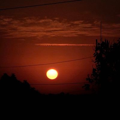 Kelvin2017597's profile picture. sla