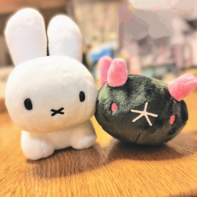 sikissaw4's profile picture. (・大・)ナマコブシが好きやねん
ぬい活というほどでもない写真を載せたりゲームの話をしたり/ｵｽｽﾒに出た見知らぬ垢に迂闊にｲｲﾈするよ
リプ返はしたりしなかったりｽﾐﾏｾﾝ

ポケモン/カービィ/森/ねこ/ブルーナうさぎ
あまりポストしないけど虫も好き🐛

🏠101ぴきかぞく(ぬい含む)