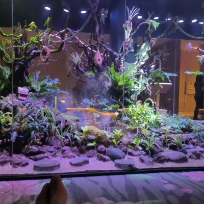 jingzhngwi8's profile picture. kaka0617