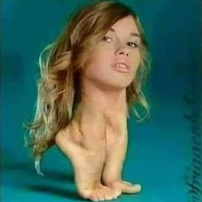 aperson37527984's profile picture. 