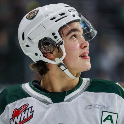 Where you go, I will go, not a moment too late ✮ priv: @rocky_dlxe ✮ #flytogether #canucks #foreverett #allonred #tigershockey