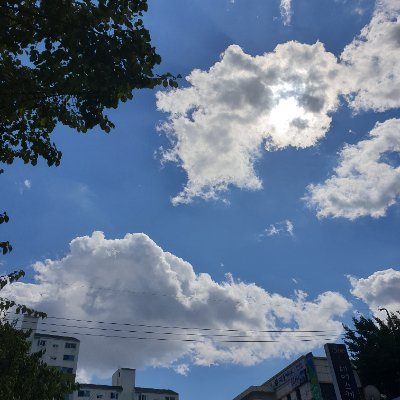 jjeonga04's profile picture. 日々を楽しく幸せな考えで過ごしたい