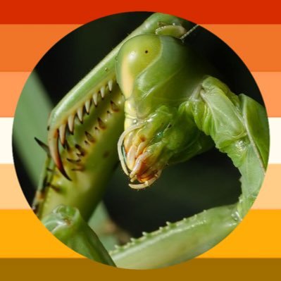 buggiebutch's profile picture. i post anything art. or just anything…dni proship/shedtwt. please do not use/repost my art without credit. thank you. tiktok: notskullz