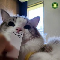 ㅈ (@gommybear14) 's Twitter Profile Photo