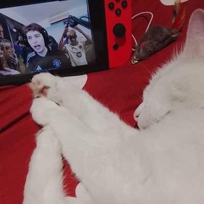 Kaiii_iim's profile picture. 