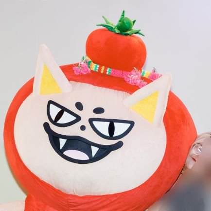 ~B~ 🦊🍅 ₍^̮-̣^̮₎ zᶻ Profile
