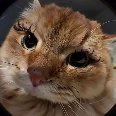 iluvyoulan's profile picture. 