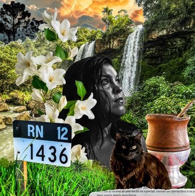 CamG04243437's profile picture. Enemiga del feminismo, colectivismo y dogmatismo.
Individualista.
Anarcoliberal.
Iusnaturalista.