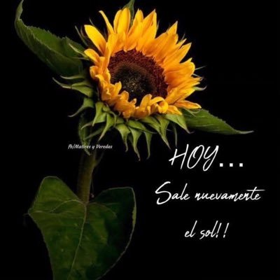 Maria_francia01's profile picture. 