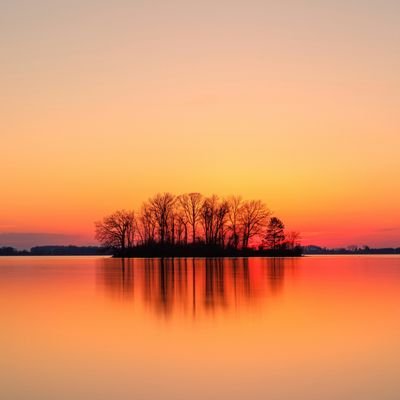 genomehacking20's profile picture. 