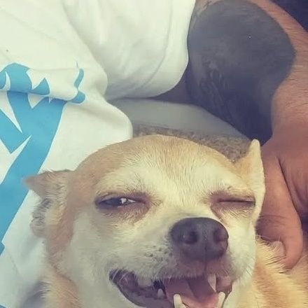 lilkaiser22's profile picture. You can't kill a man that God wants alive.