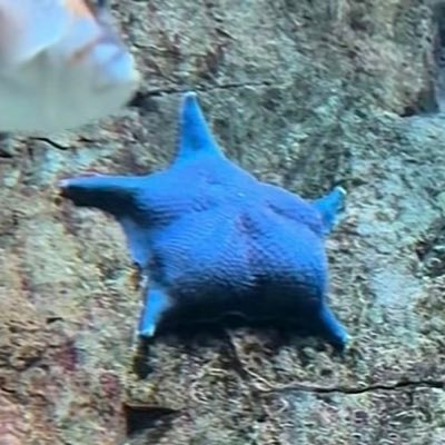 megscircle's profile picture. ✯ certified lover girl crash out ✯