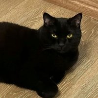 come to smile (@cometosmile) 's Twitter Profile