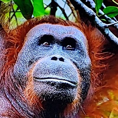 burgessjimmy71's profile picture. TRUMP 💯, love God, my guns, and my freedom. Rooting for the Dream Team.
NO DM's-NO CRYPTO