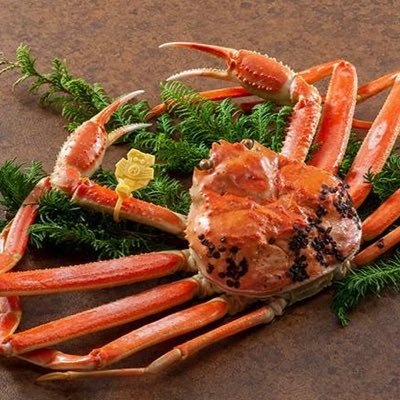 日本海で育まれた濃厚な旨みと甘み。ぎっしり詰まった身は、冬の食卓を華やかに彩る新潟のごちそうです。