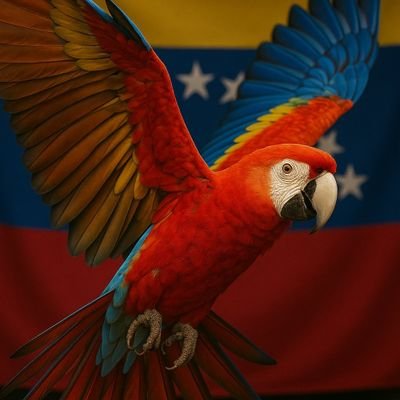 ManuelR15654's profile picture. Soñador buen padre y carismático