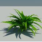 Onyx 3D Vegetation Sharing Portal - Download | Share | Comment