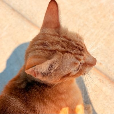 k1llajay_'s profile picture. 