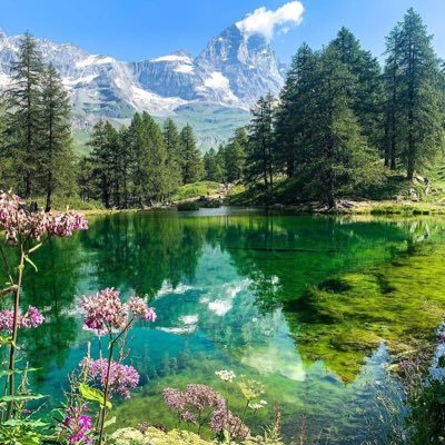 juanmariojs's profile picture. 