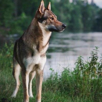 LaurieK65786690's profile picture. ✨ Creating magic in everyday moments | Coffee enthusiast ☕