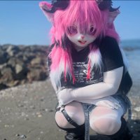 Nemo (@_shikemok_need) 's Twitter Profile