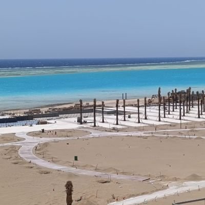 muratturat0658's profile picture. 