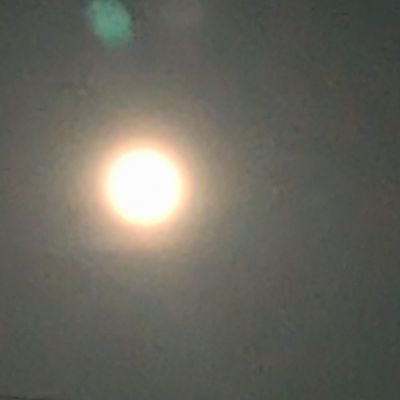 nanon1117's profile picture. the