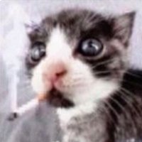 monni,𖤐 jurídico neil josten (@andrewviadoo) 's Twitter Profile