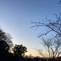 卿少纳言 (@qshaonayan) 's Twitter Profile Photo