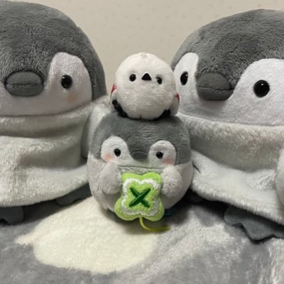 yuki_yuka_1's profile picture. コウペンちゃん大好きアカウント。本当にかけがいがない存在で日常を思い返しても大切な思い出で溢れてる。これ以上大切なものを失わないように見つめ返して自分を変えられるように頑張ります。思い出の子たちと旅をして写真を載せていくアカウントです。 @wasurenai_omoid⇐うさまるあか