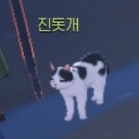 우빈이 (@9cccm10) 's Twitter Profile