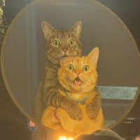 The future is up to us! (@giftsiriphorn) 's Twitter Profile Photo The future is up to us! (@giftsiriphorn) 's Twitter Profile Photo