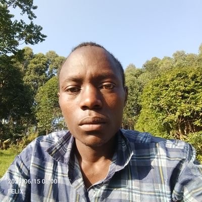 Fello0534's profile picture. 